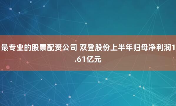 最专业的股票配资公司 双登股份上半年归母净利润1.61亿元