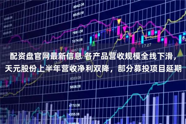 配资盘官网最新信息 各产品营收规模全线下滑，天元股份上半年营收净利双降，部分募投项目延期