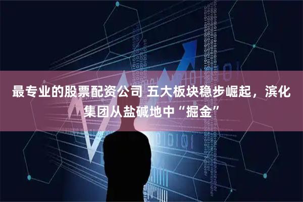 最专业的股票配资公司 五大板块稳步崛起，滨化集团从盐碱地中“掘金”