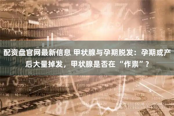 配资盘官网最新信息 甲状腺与孕期脱发：孕期或产后大量掉发，甲状腺是否在 “作祟”？