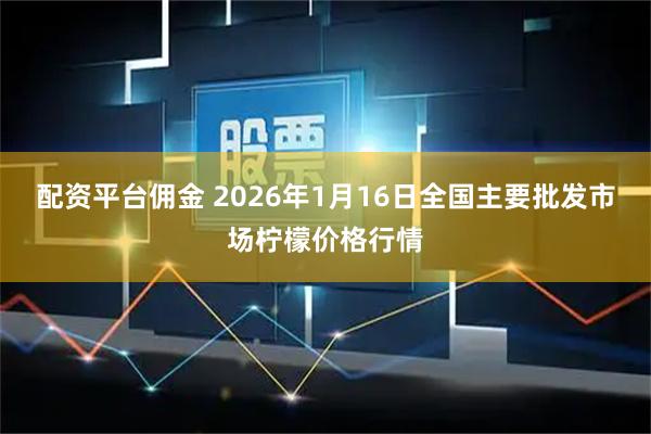 配资平台佣金 2026年1月16日全国主要批发市场柠檬价格行情