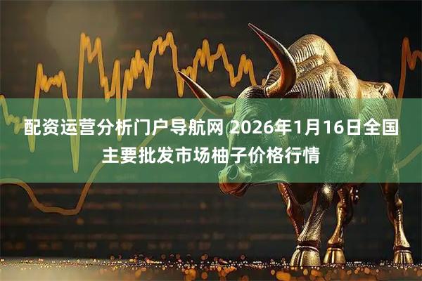 配资运营分析门户导航网 2026年1月16日全国主要批发市场柚子价格行情