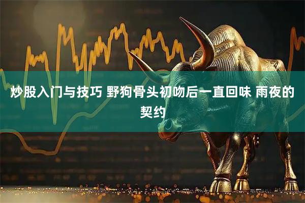 炒股入门与技巧 野狗骨头初吻后一直回味 雨夜的契约